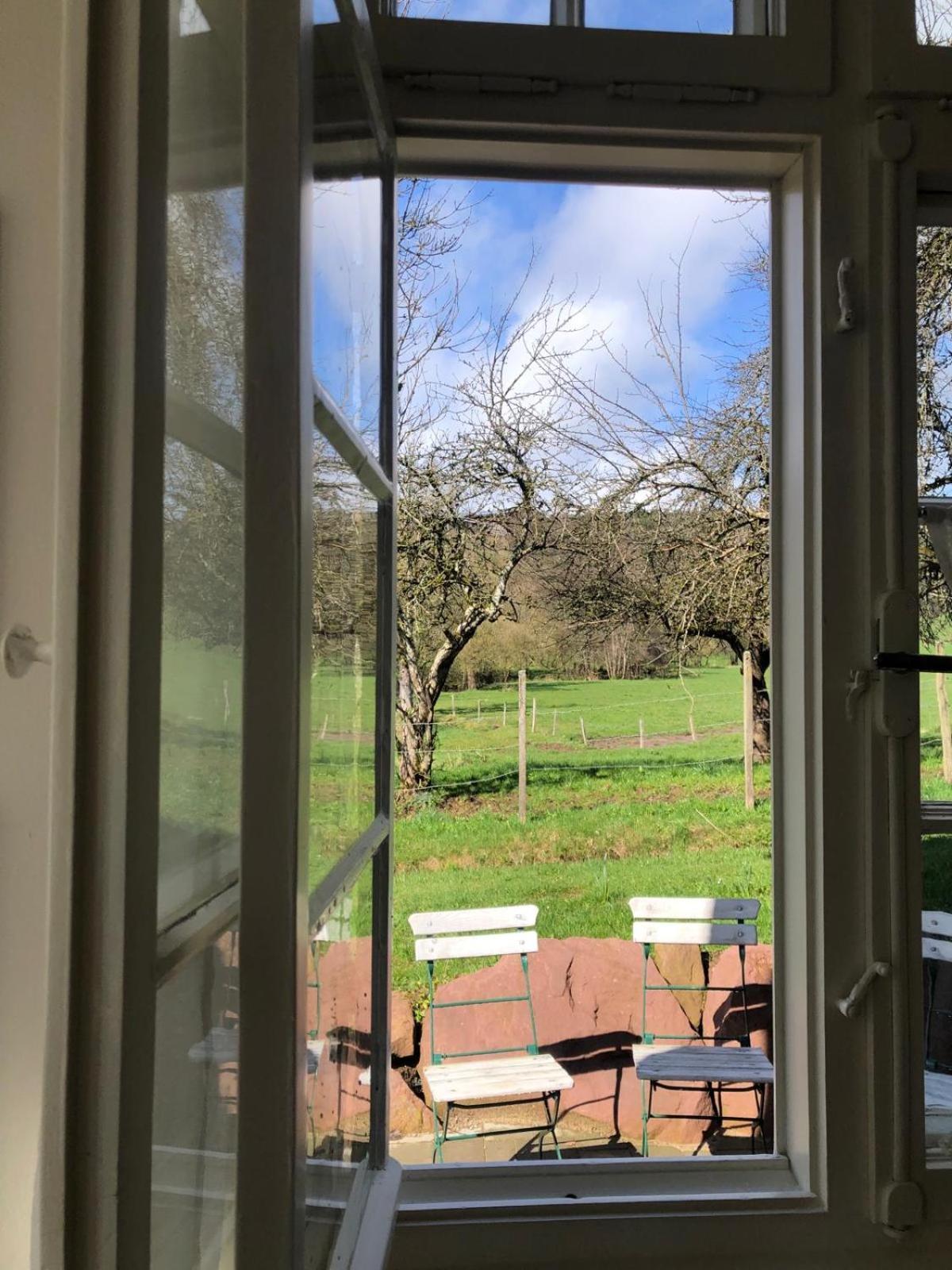Ferienwohnung Am Stockerbach Freudenstadt Exteriér fotografie