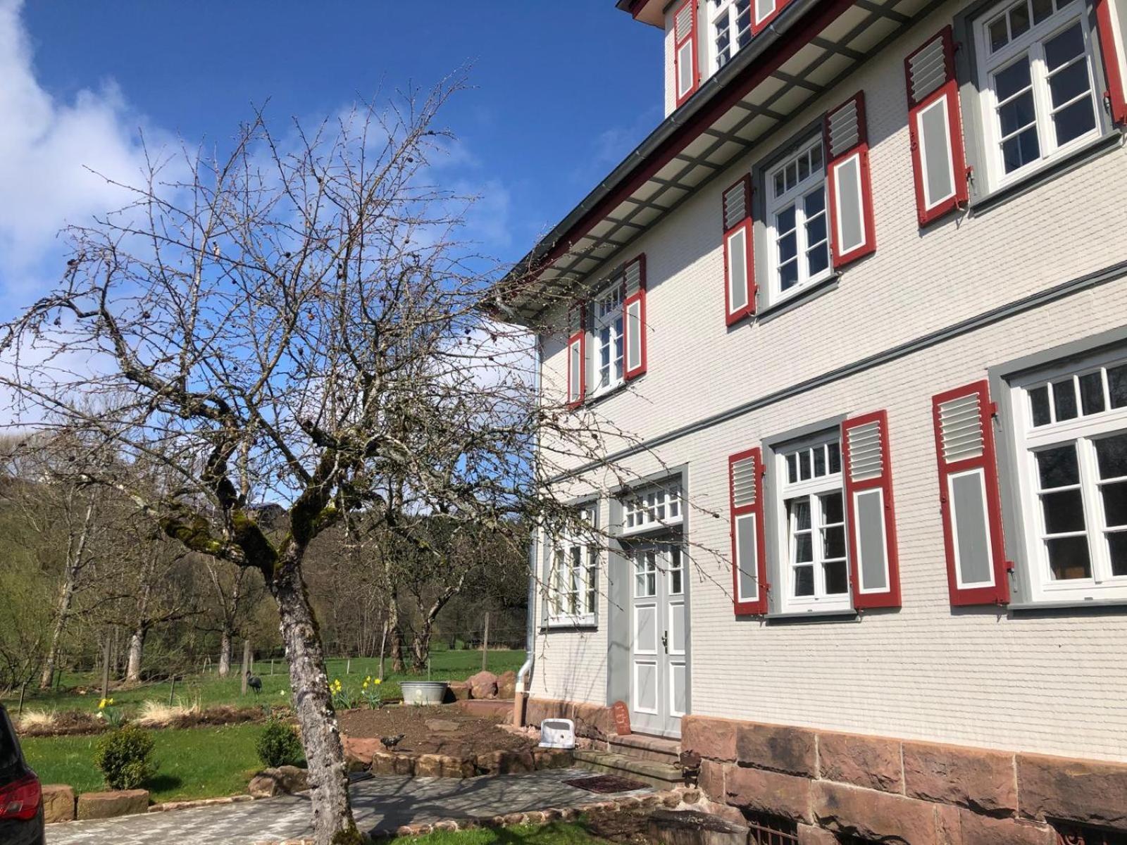 Ferienwohnung Am Stockerbach Freudenstadt Exteriér fotografie
